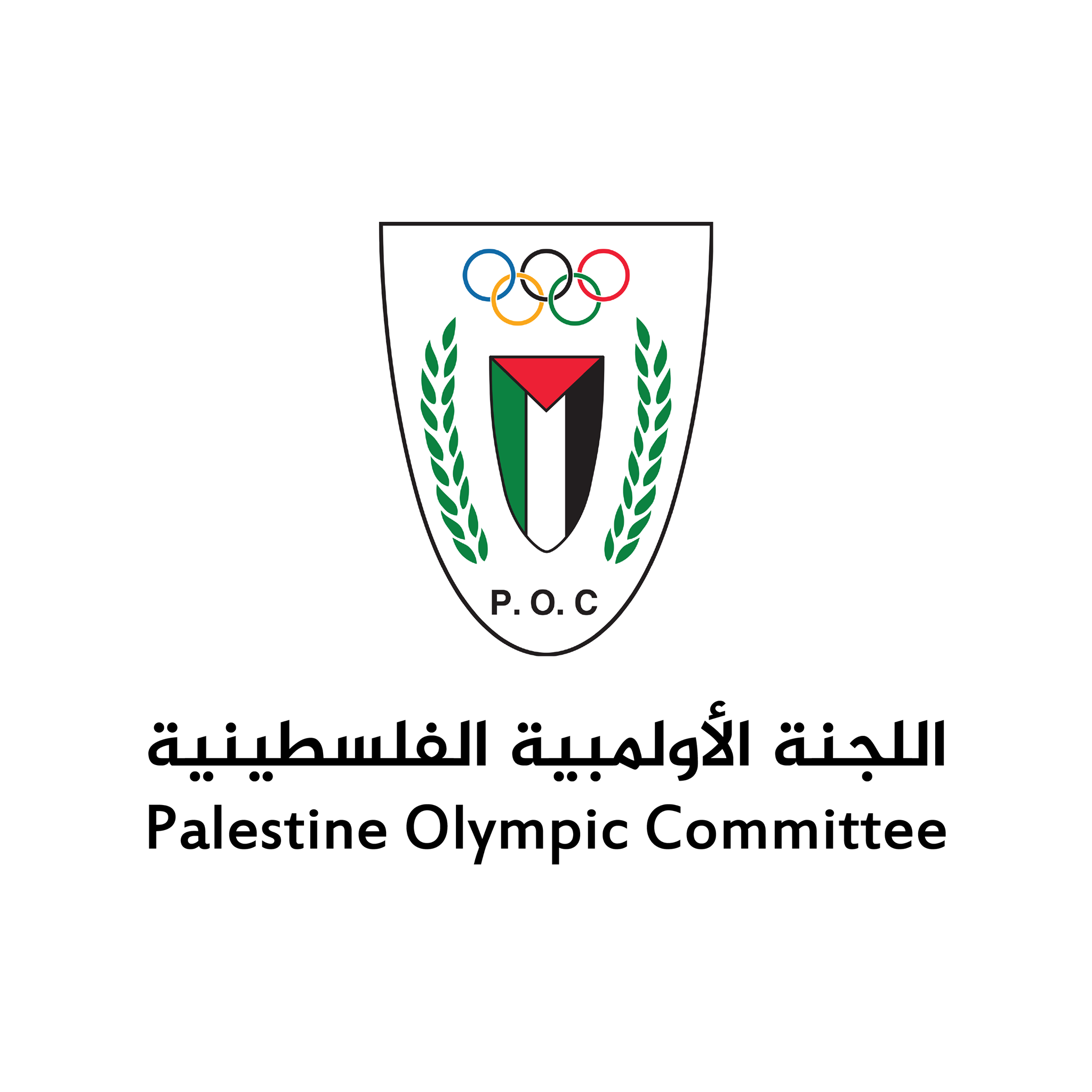 Palestinian Olympic Committee: Israel's destruction machine overwhelmed components of Palestinian sports movement in southern provinces in Gaza 