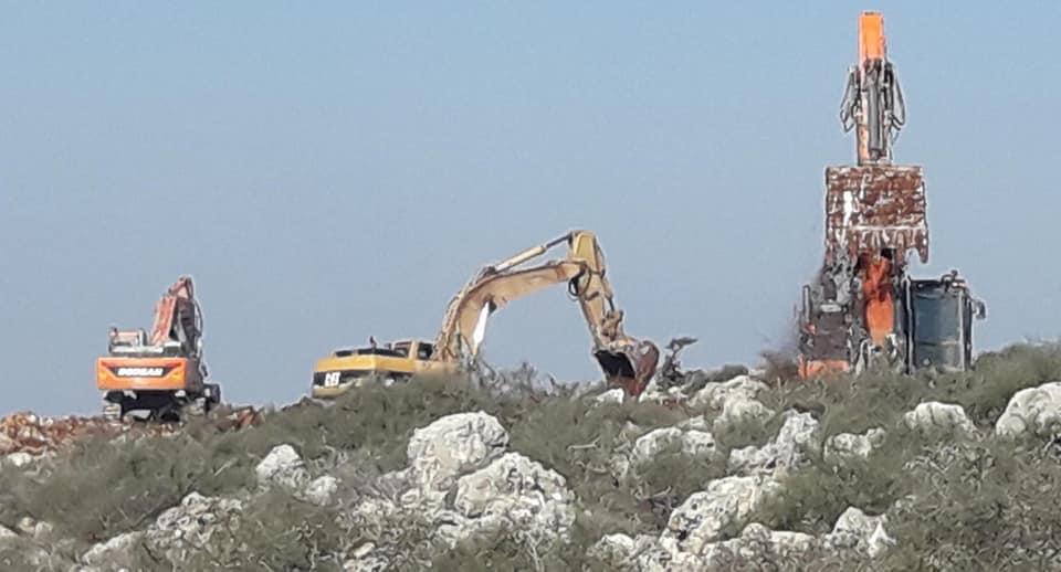 Israeli settlers continue to raze Palestinian land in northern Jordan Valley
