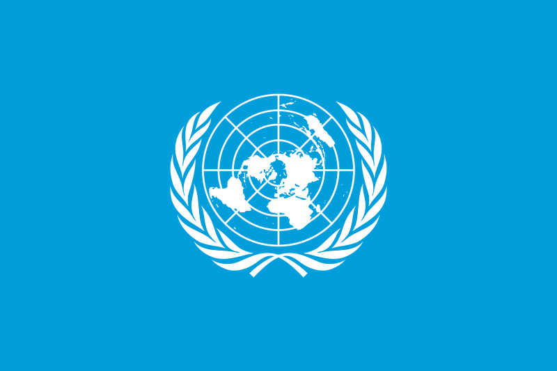 UN demining expert: Gaza’s unexploded ordnance could take 14 years to clear