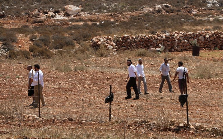 Settlers graze their cattle on Palestinian lands west of Salfit