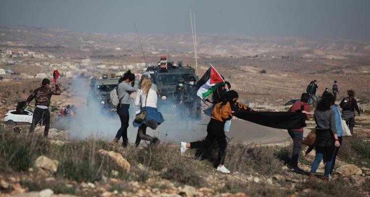 Israeli settlers, forces assault activists involved in tree planting activity in Masafer Yatta