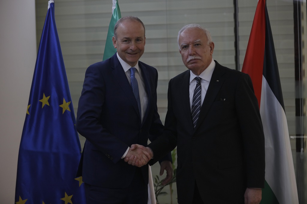 Foreign Minister urges immediate end of Israeli aggression on Gaza
