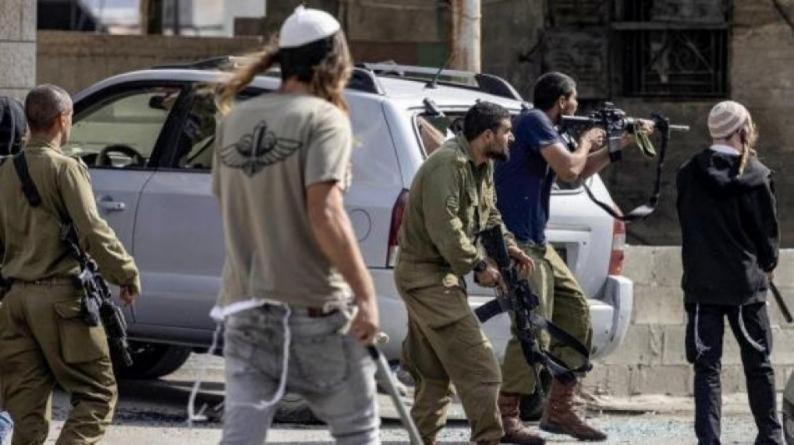 Israeli colonists attack residential homes south of Hebron