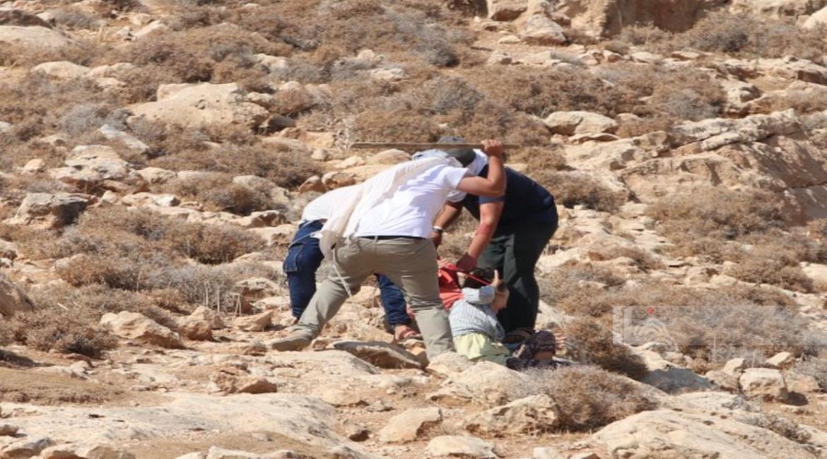 Israeli settlers stab foreign volunteer while helping a Palestinian farmer harvest his olive crops near Bethlehem