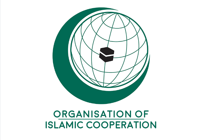 OIC commends UN resolutions in favor of Palestine