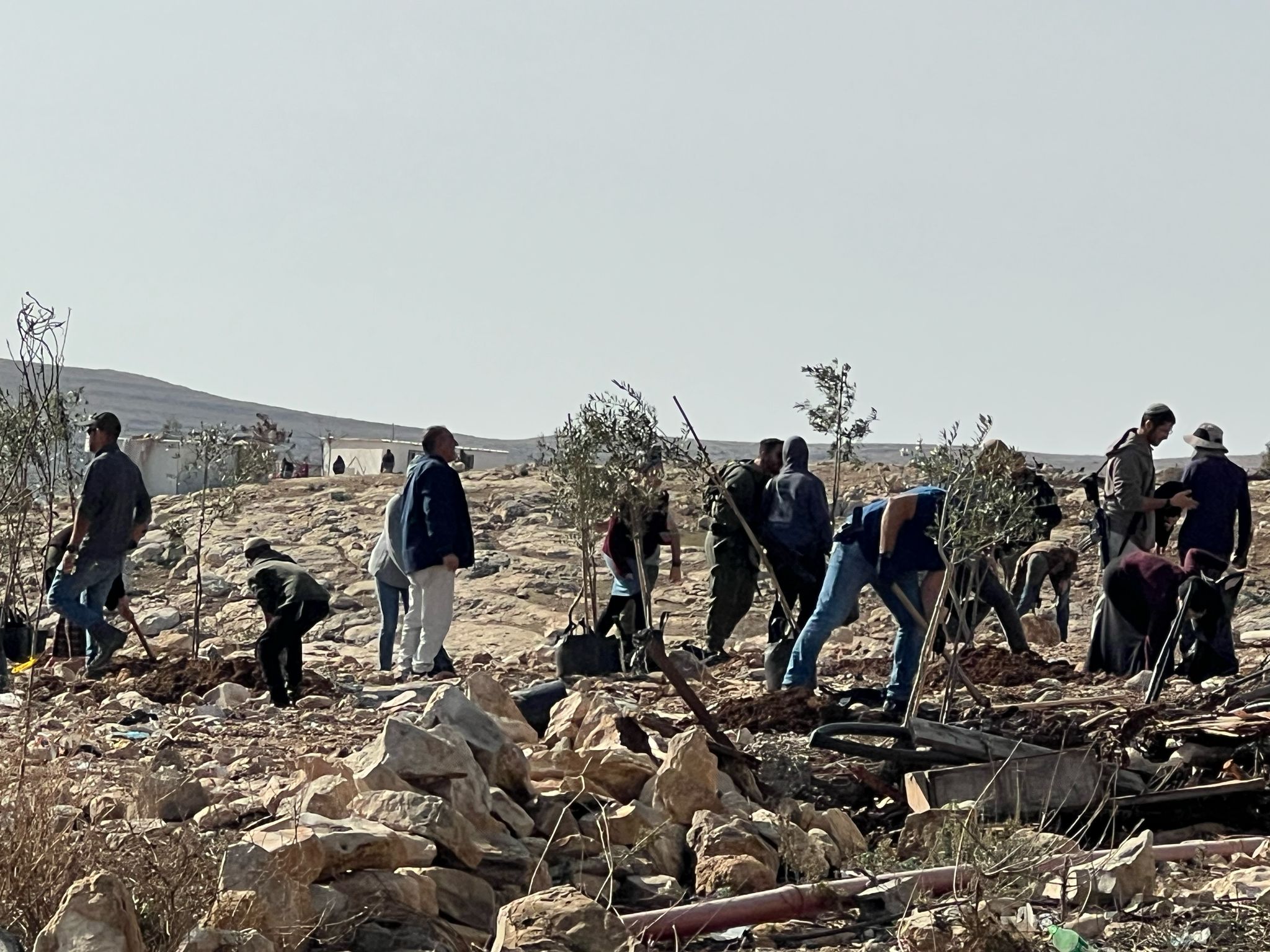 Israeli colonists plant trees on Palestinian land south of Hebron