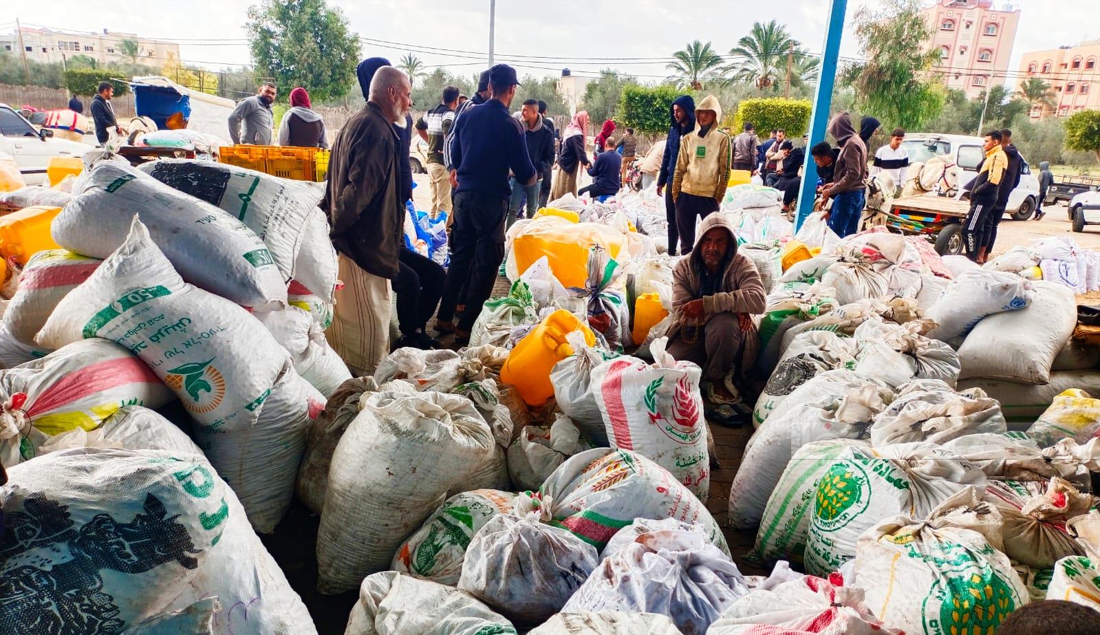About $2M direct daily losses in agricultural production in Gaza as a result of Israeli aggression on agricultural sector - PCBS