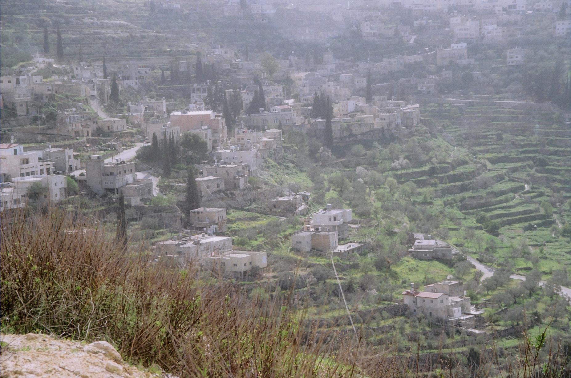 Palestinian farmer ordered by Israeli soldiers not to use his land and to uproot olive saplings he had planted