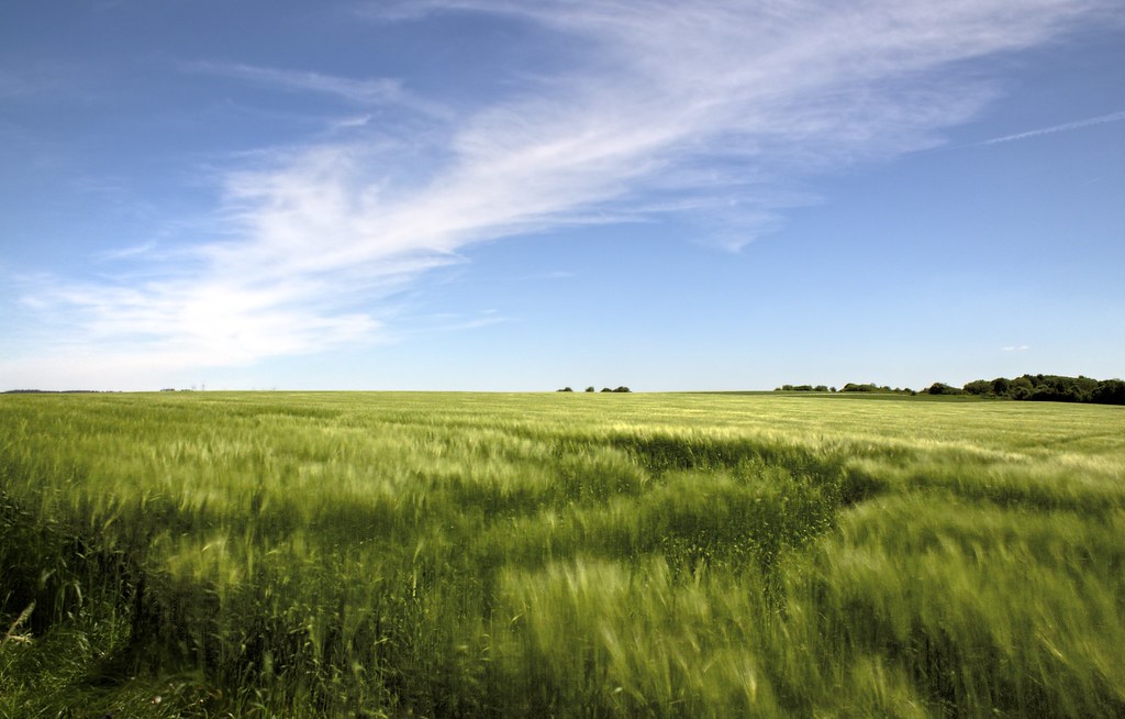 Weather: Clear skies, drop in temperature 