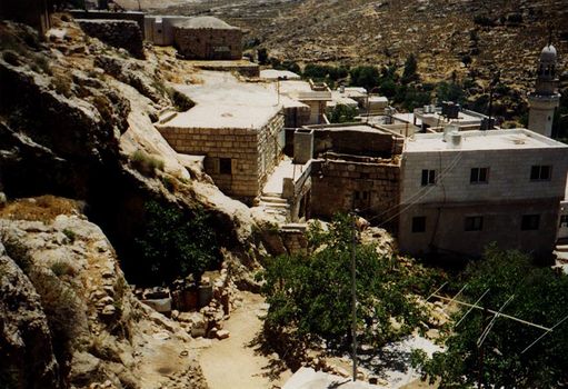 Palestinian farmers ordered by Israeli occupation not to reclaim more than 700 dunums of their lands