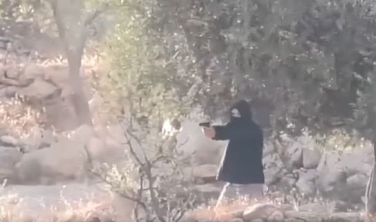 A colonist brandishes a weapon at residents during an attack on Burqa.
