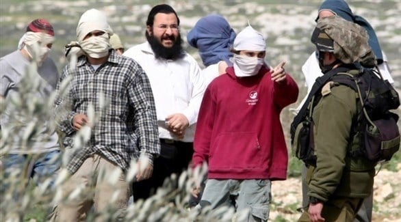 Israeli settlers chase Gundelia harvesters  in northern Jordan Valley