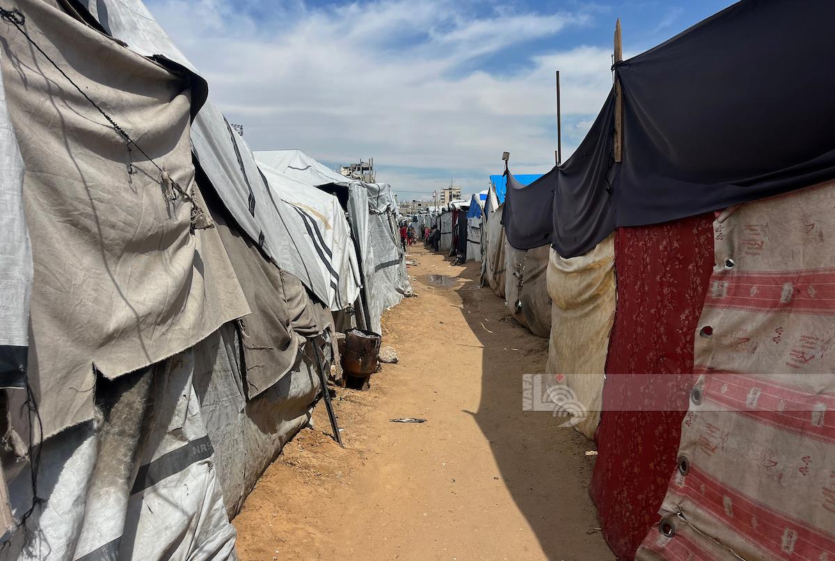 Displaced persons’ tents in Gaza City (WAFA archive)
