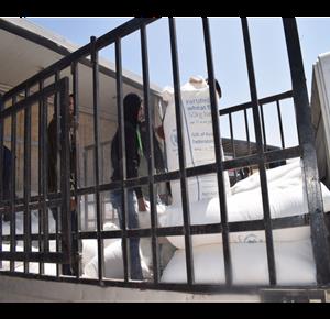 Russia, WFP start delivery of humanitarian aid to vulnerable Palestinians - Vimarsana News