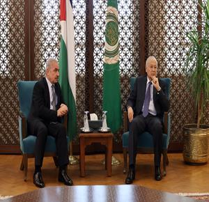 Prime Minister discusses API revival, promotion of state recognition with LAS chief - Vimarsana News